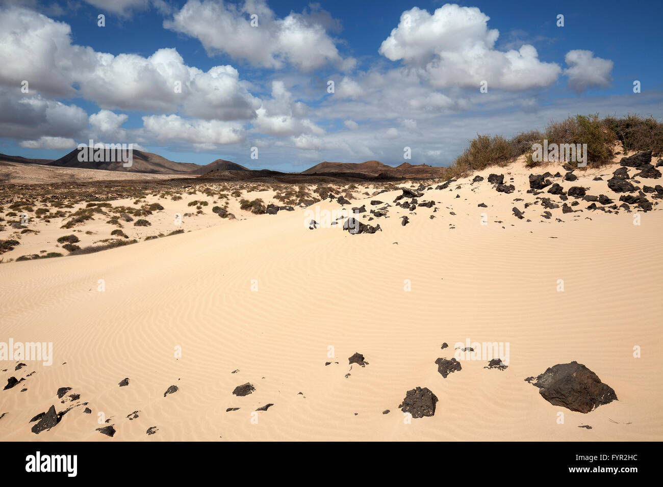 Dunes errantes El Jable, Las Dunas de Corralejo, partie sud de ​​The Parc naturel de Corralejo, Fuerteventura Banque D'Images