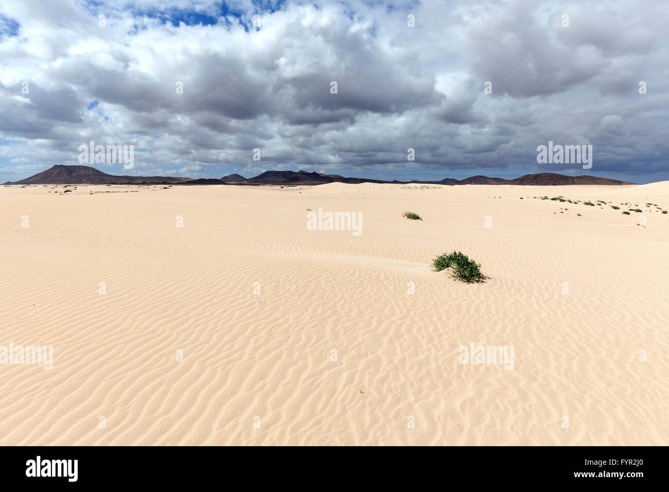 Les dunes de sable, les dunes errantes El Jable, Las Dunas de Corralejo, parc naturel de Corralejo, Fuerteventura, la formation de nuages spectaculaires Banque D'Images