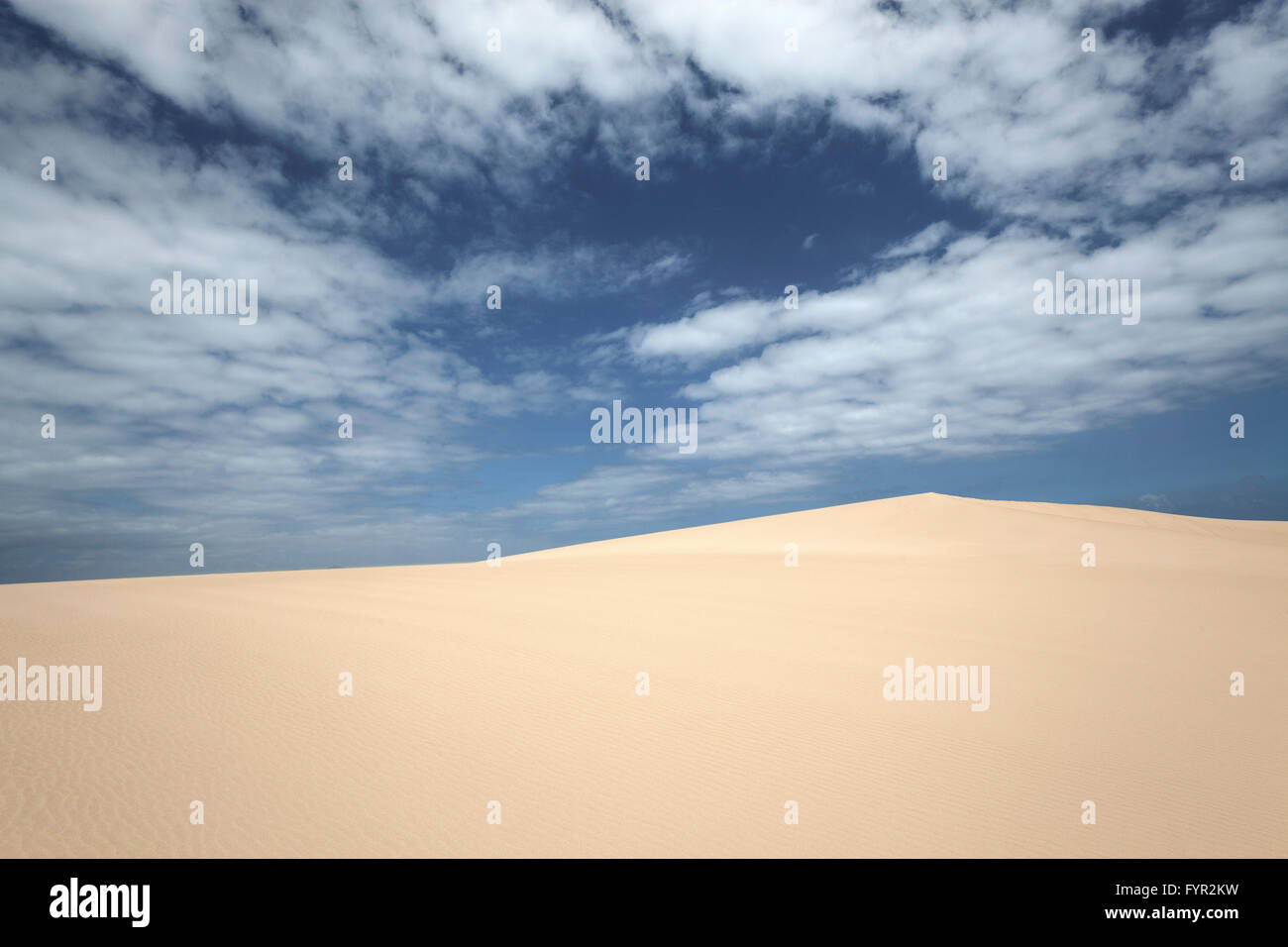 Dunes de sable sous ciel bleu avec des nuages, l'errance des dunes de El Jable, Las Dunas de Corralejo, parc naturel de Corralejo Banque D'Images