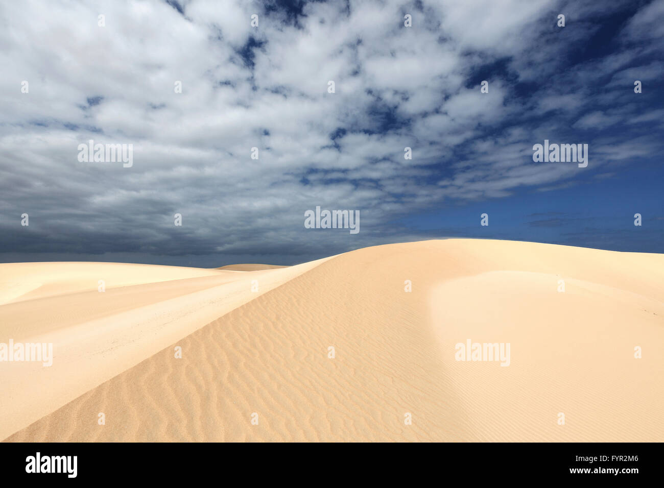 Dunes de sable sous ciel bleu avec des nuages, l'errance des dunes de El Jable, Las Dunas de Corralejo, parc naturel de Corralejo Banque D'Images