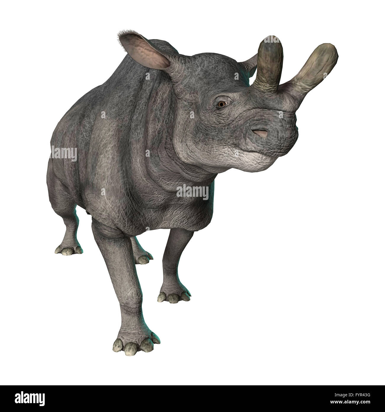 Le rendu 3D d'un Brontotherium marche isolé sur fond blanc Banque D'Images