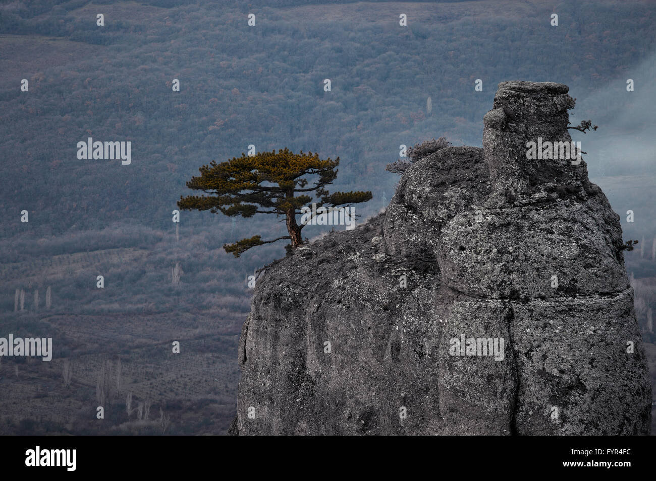 Photo monochrome de Foggy Mountain Valley Banque D'Images