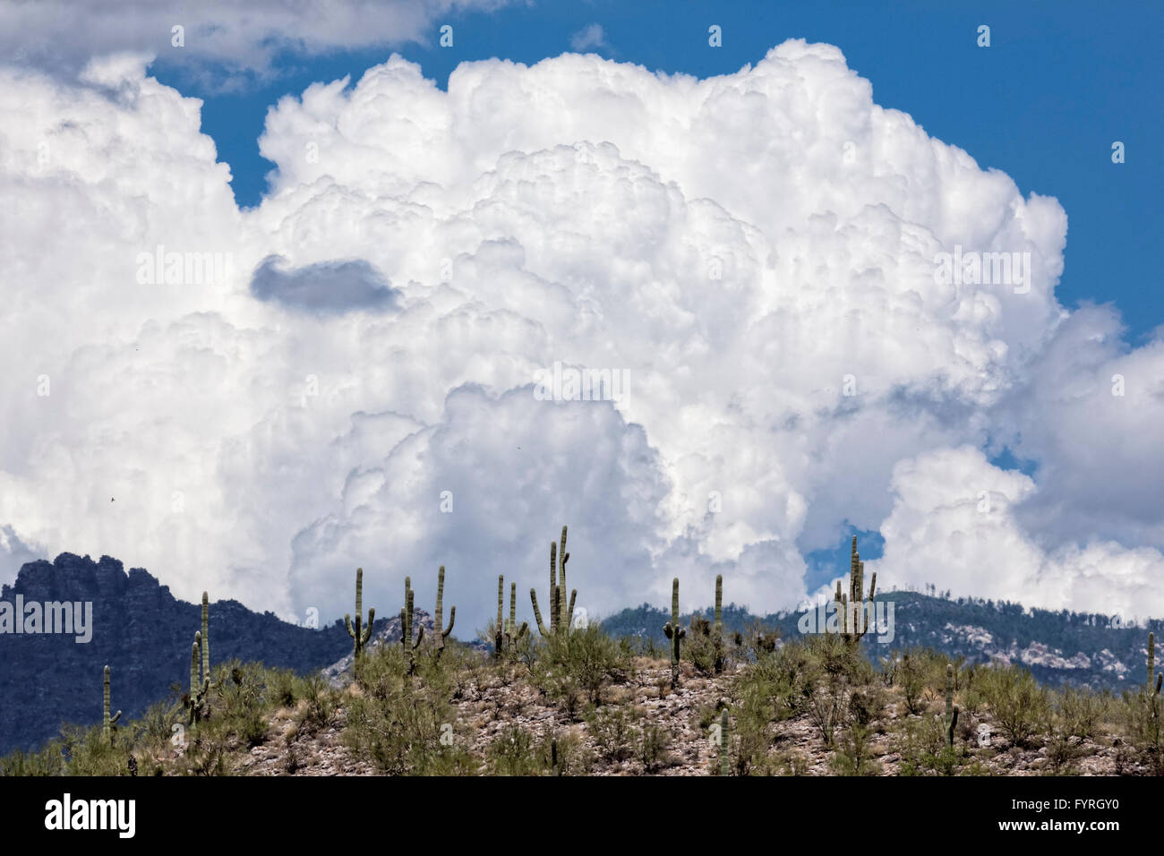 Cumulonimbus - AZ Banque D'Images