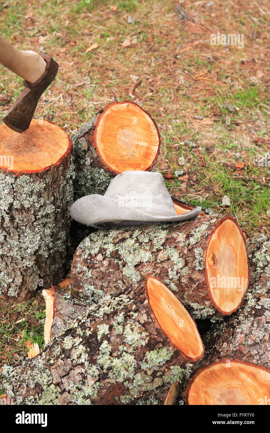 Fractionnement du bois de chauffage. Pile de grumes avec ax sur la compensation écologique dans l'aménagement forestier Banque D'Images
