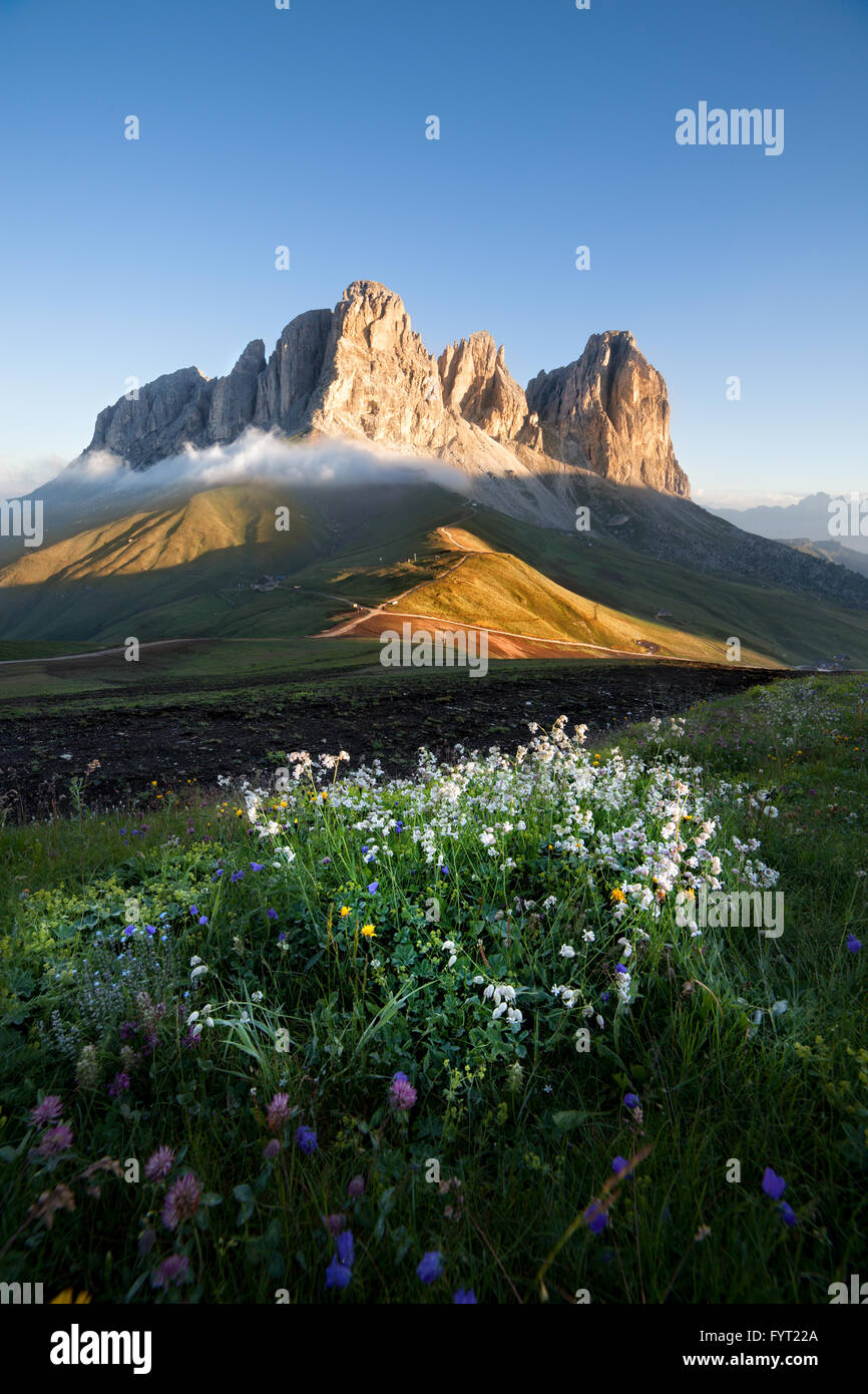 Sassolungo mountain peaks au lever du soleil Banque D'Images