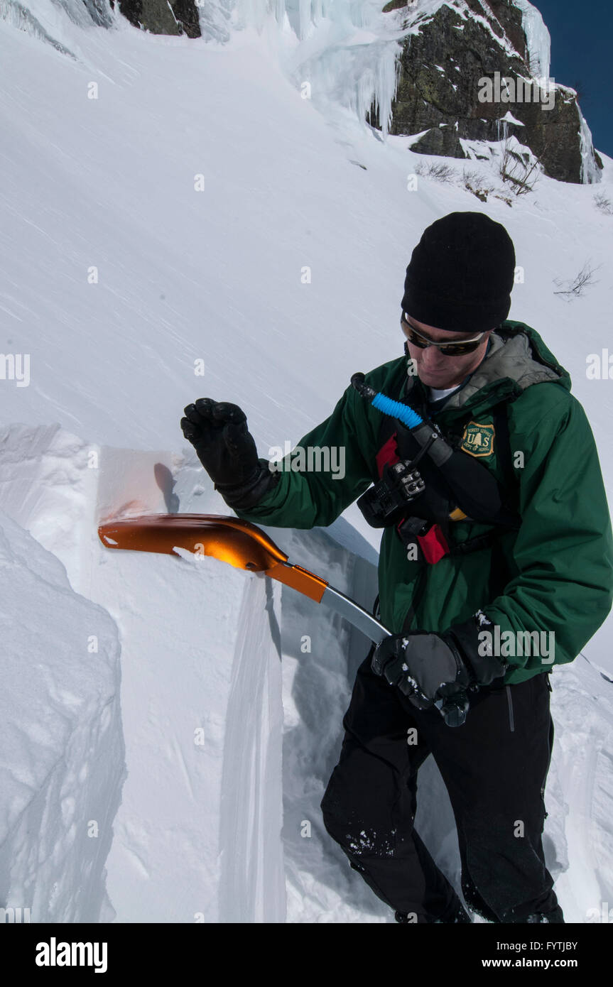 Ranger la neige effectuant un contrôle de compression dans le manteau neigeux en Tuckerman Ravine sur Mot. Washington, NH Banque D'Images