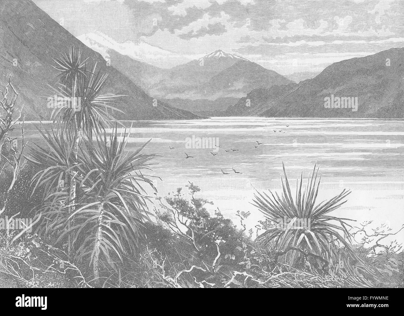Nouvelle-zélande : Mount Cook : Lake Wanaka , ancien 1890 Banque D'Images