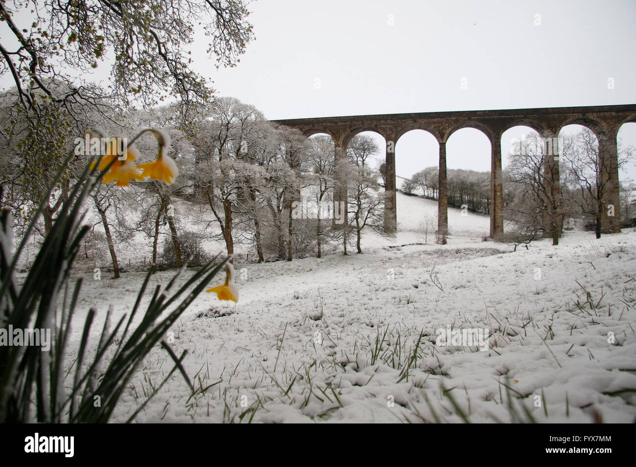 Thornton, Wesy Yorkshire, UK. 29 avril, 2016. Après le viaduc de Thornton beaucoup de neige dans le West Yorkshire. Credit : West Yorkshire Images/Alamy Live News Banque D'Images