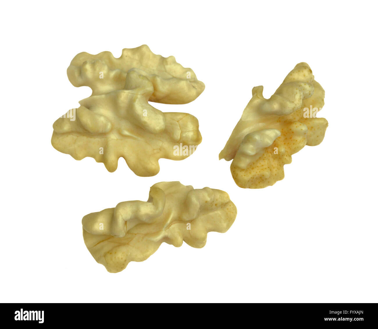 Cerneaux de noix Banque D'Images