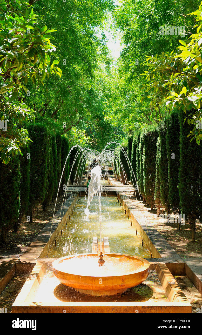 Jardin S'Hort del Rei, Jardin du Roi, Palma de Mallorca, Mallorca, Espagne Banque D'Images