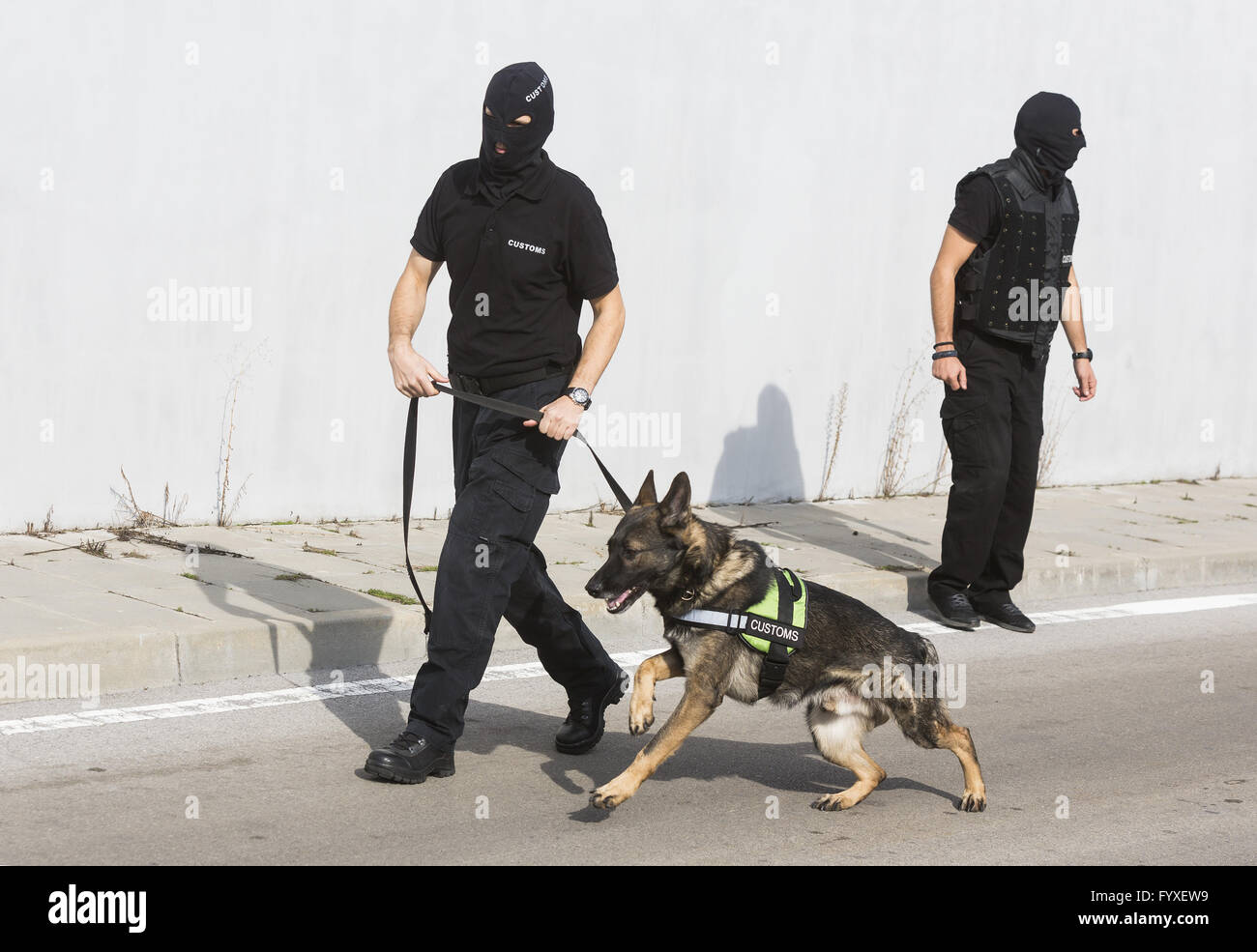 Les chiens détecteurs de drogues Banque D'Images