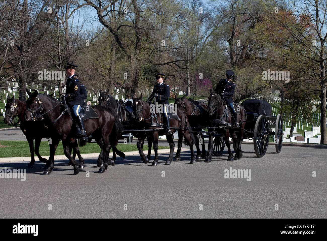 Funérailles militaires au cimetière d'Arlington Washington DC, United States of America Banque D'Images