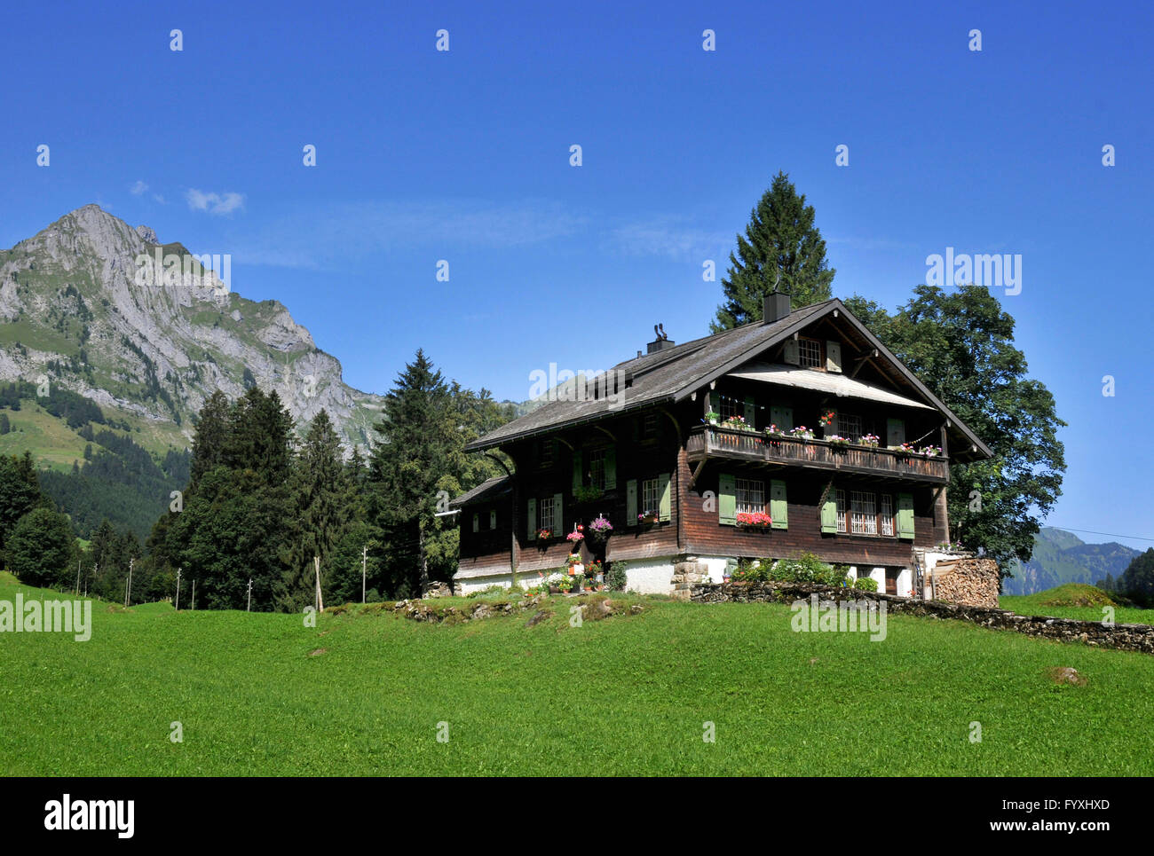 Ferme, ferme, Nunalphorn, Engelberg, Obwalden, Suisse / Nünalphorn Banque D'Images