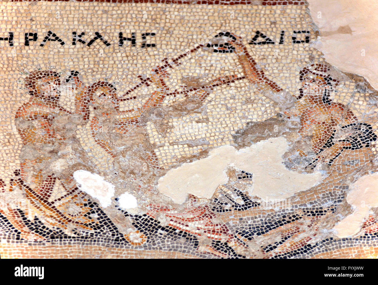 Mosaïque Hercules Hercules, en concours de boisson avec Dionysos, Maison de Dionysos, ville en ruines, Sepphoris, Israël / Diocesaraea, Saffuriya Banque D'Images