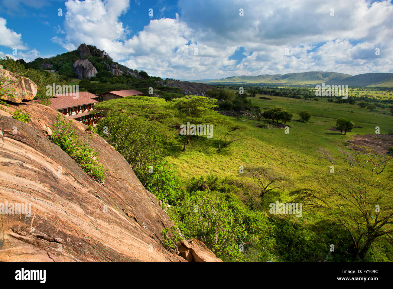 Lodgy touristique sur la savane dans Tanzania, Africa Banque D'Images