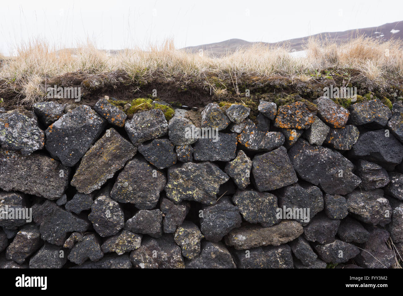 Mur de roche de basalte avec gazon et mousse d'Islande colorés Banque D'Images