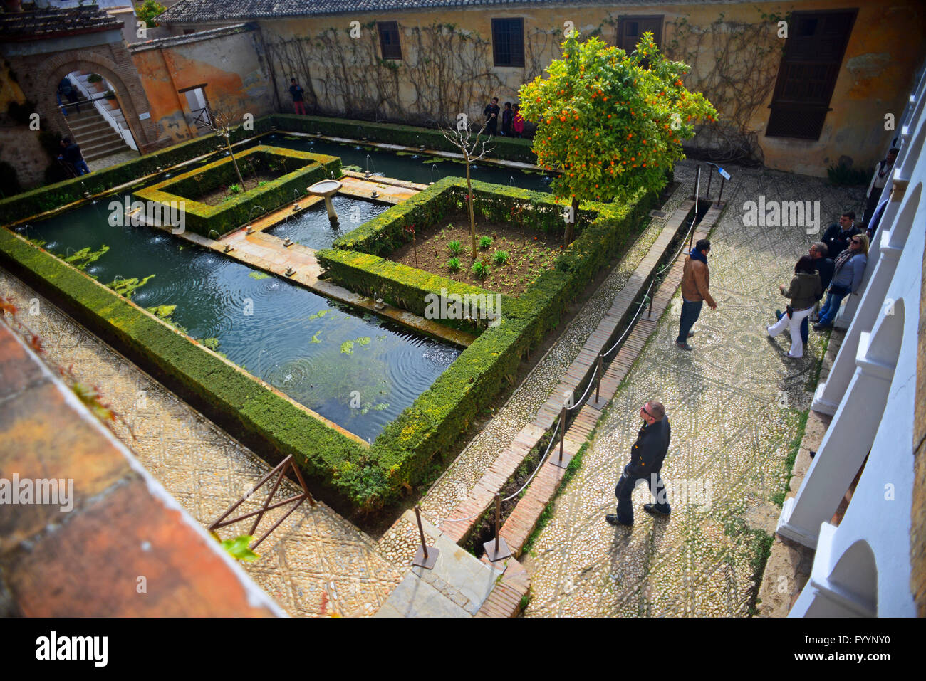 Les jardins du Generalife de l'Alhambra, palais et forteresse située à Grenade, Andalousie, Espagne Banque D'Images