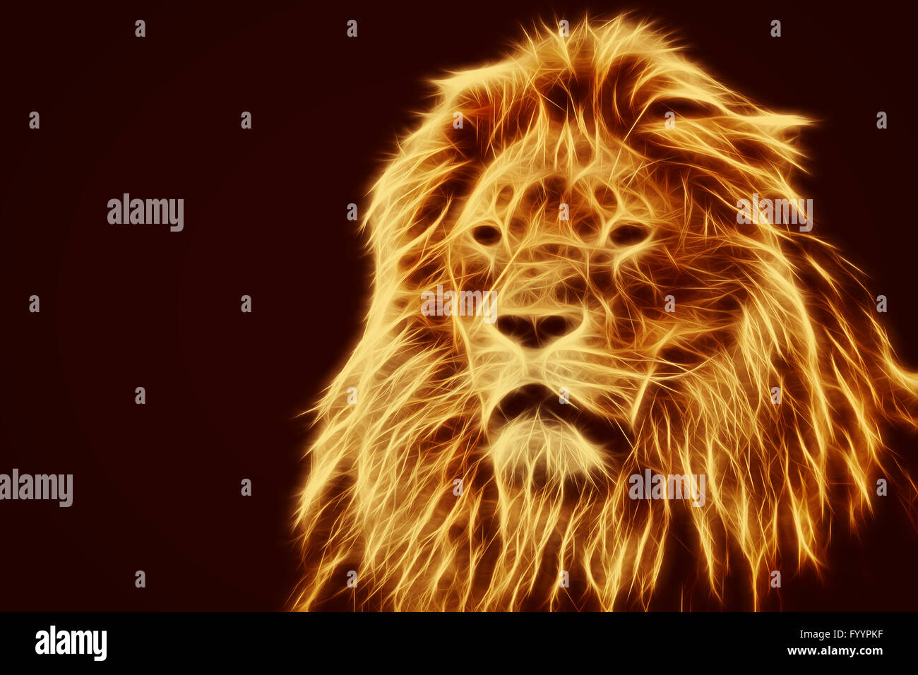 Lion portrait avec de riches mane sur noir Banque D'Images