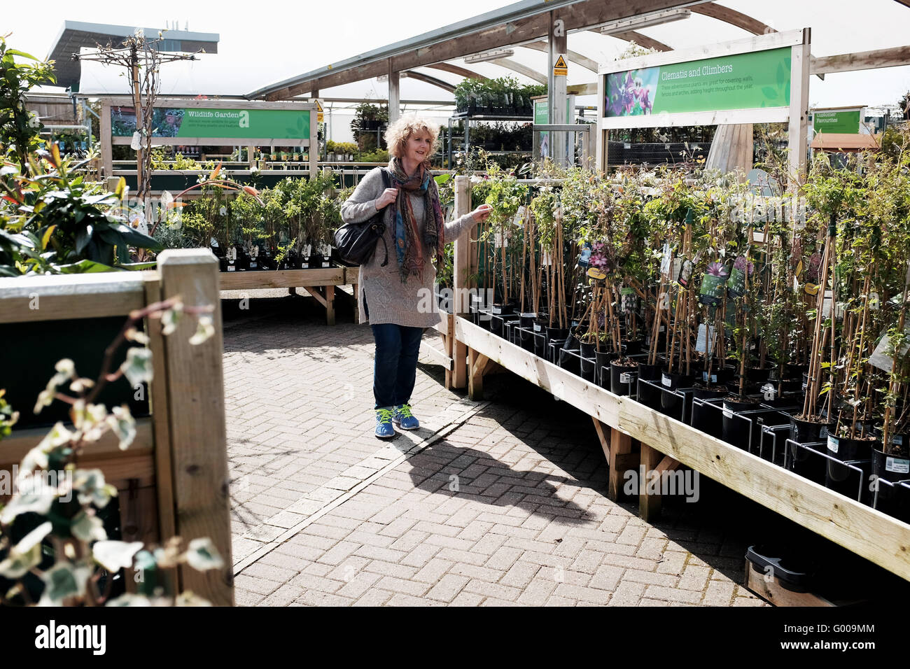 Femme à la recherche autour d'un jardin de Wyevale Centre Plantes et arbres d'acheter Banque D'Images