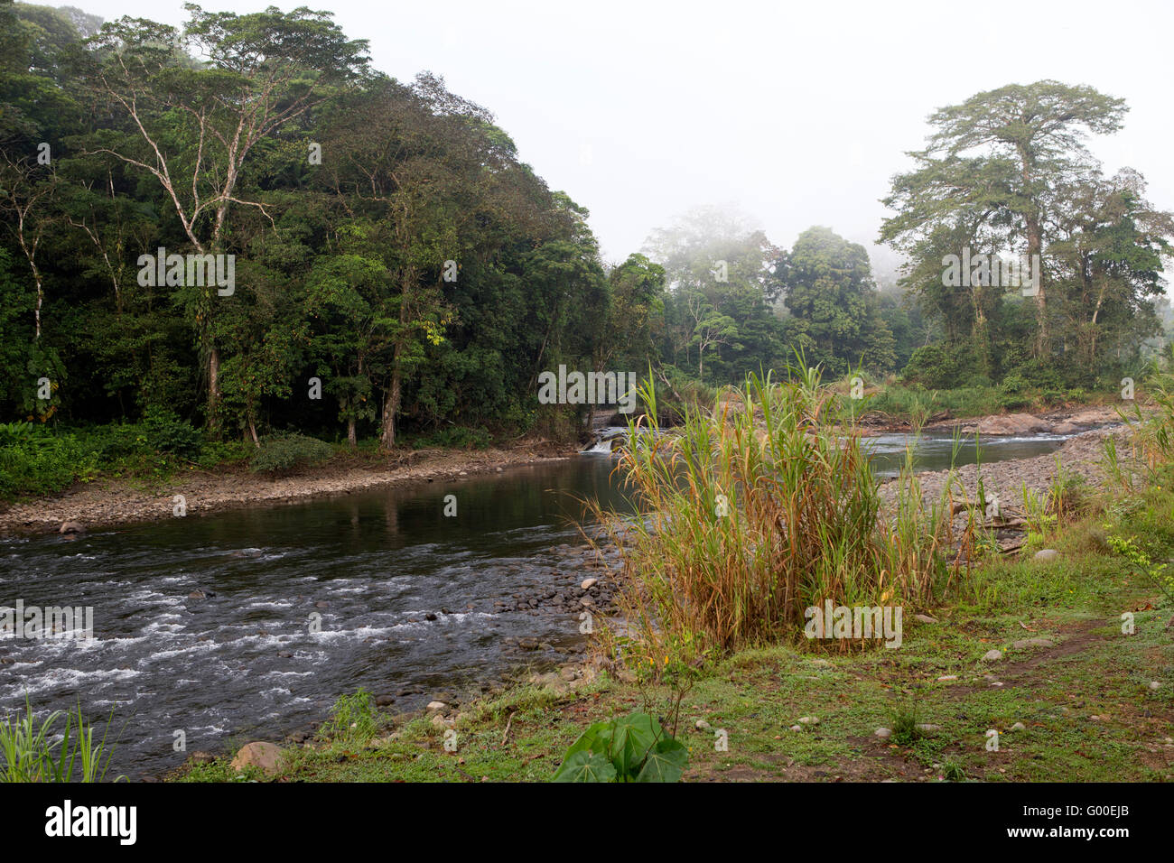 Vu de la rivière Sarapiqui Selva Verde Lodge de Sarapiquí au Costa Rica. L'identification de l'éco-lodge est situé dans le rai Banque D'Images