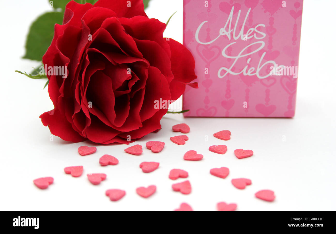 rose et coeurs Banque D'Images