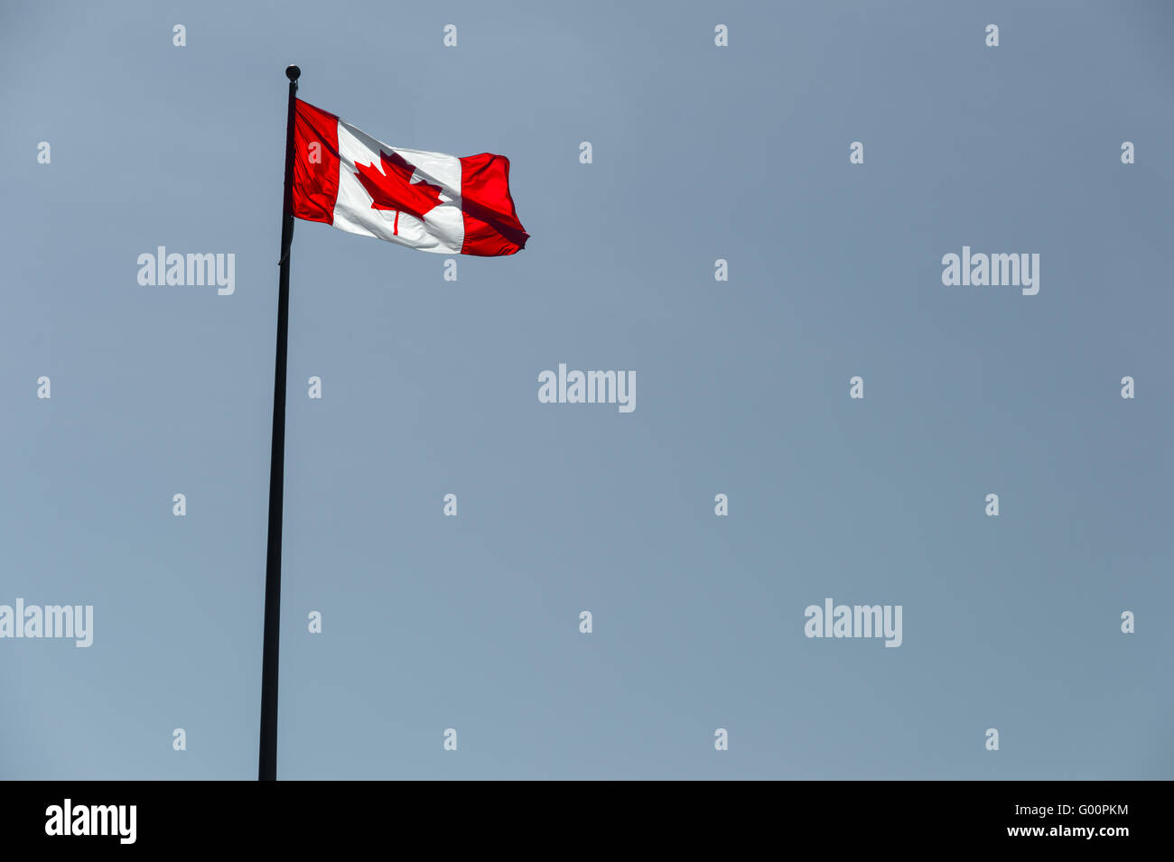 Brandir le drapeau canadien sur ciel bleu pâle Banque D'Images