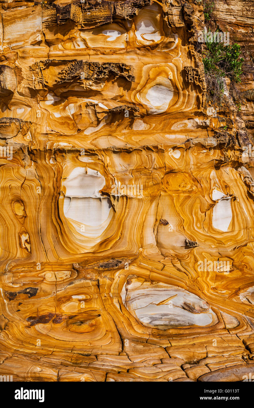 L'Australie, Nouvelle Galles du Sud, Côte Centrale, Bouddi National Park, merveilleusement paterned Hawksbury au grès Maitland Bay. Banque D'Images