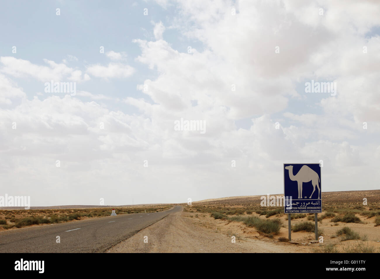 Panneau d'avertissement de chameau Banque D'Images