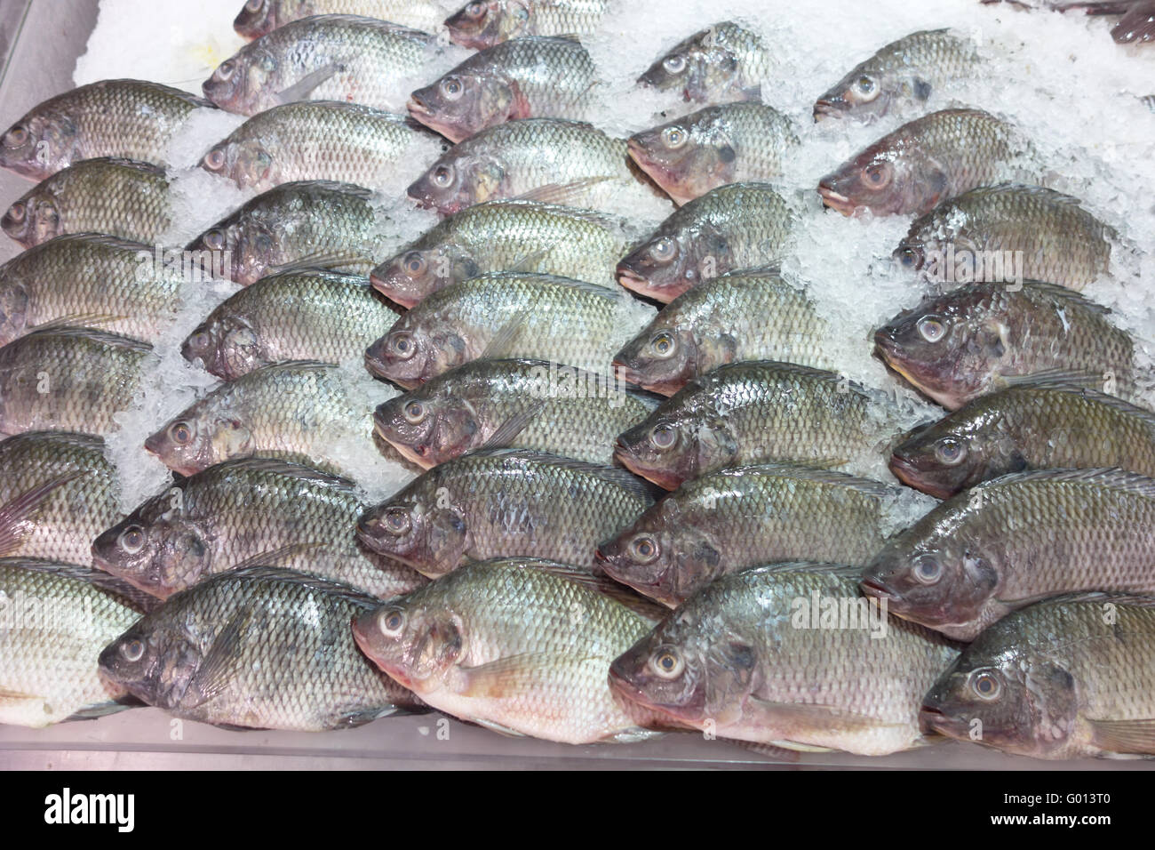 Le poisson frais sur la glace au marché Banque D'Images