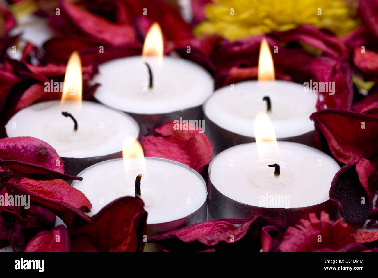 Rangée de bougies avec des pétales de rose rouge (shallow DOF) Banque D'Images