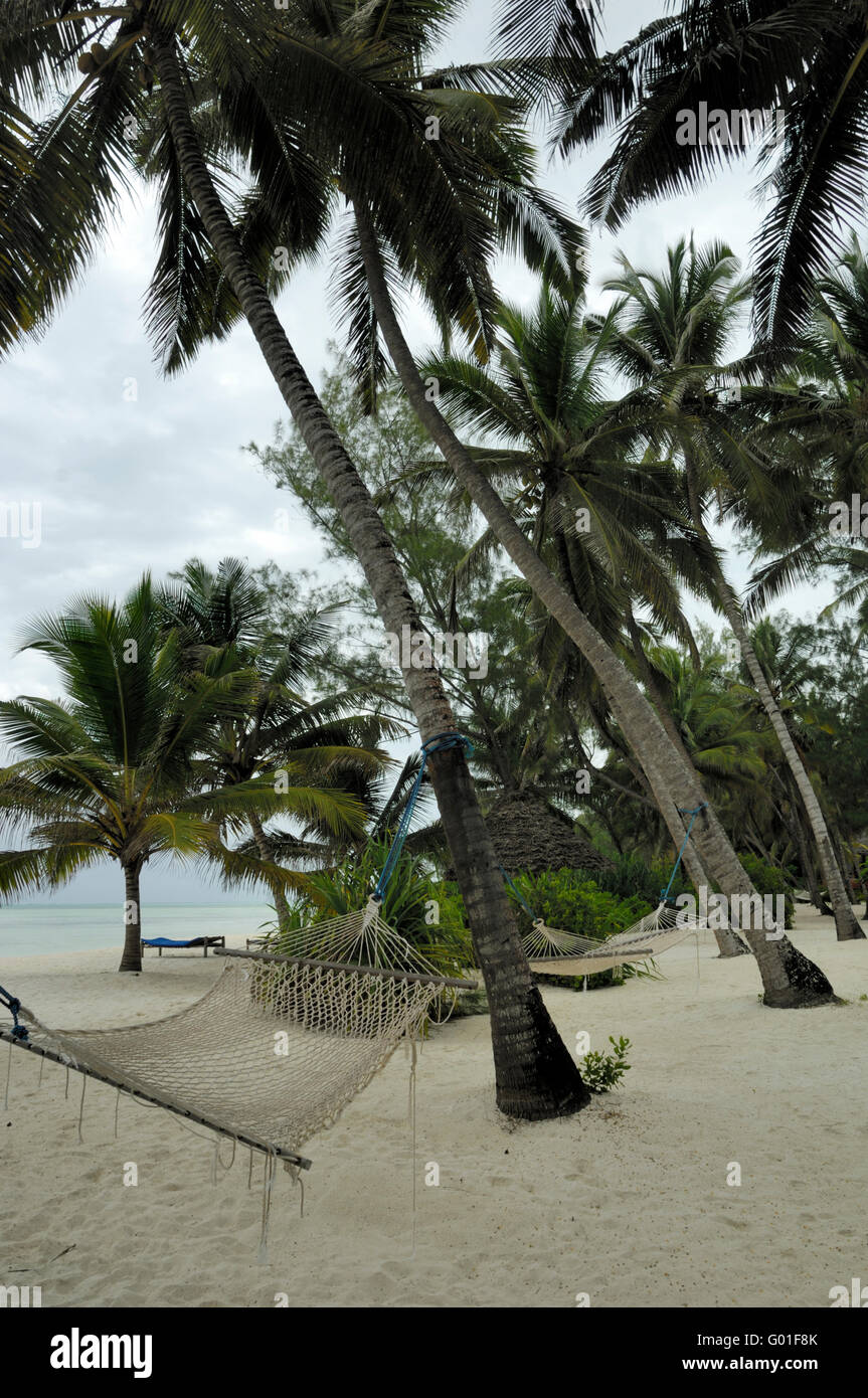 Pongwe Beach hammock Banque D'Images
