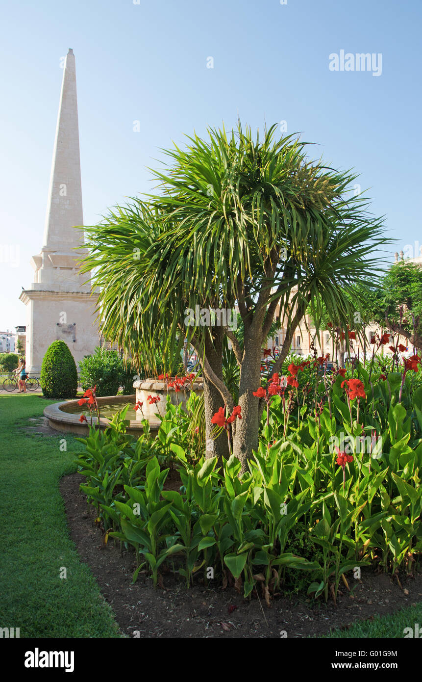 Menorca, Minorque : fleurs et de l'obélisque en Es Born Square à Ciutadella Banque D'Images