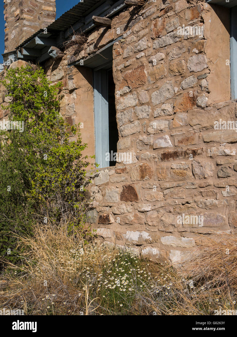Homer Wilson Ranch, Ross Maxwell Scenic Drive, Big Bend National Park, Texas. Banque D'Images