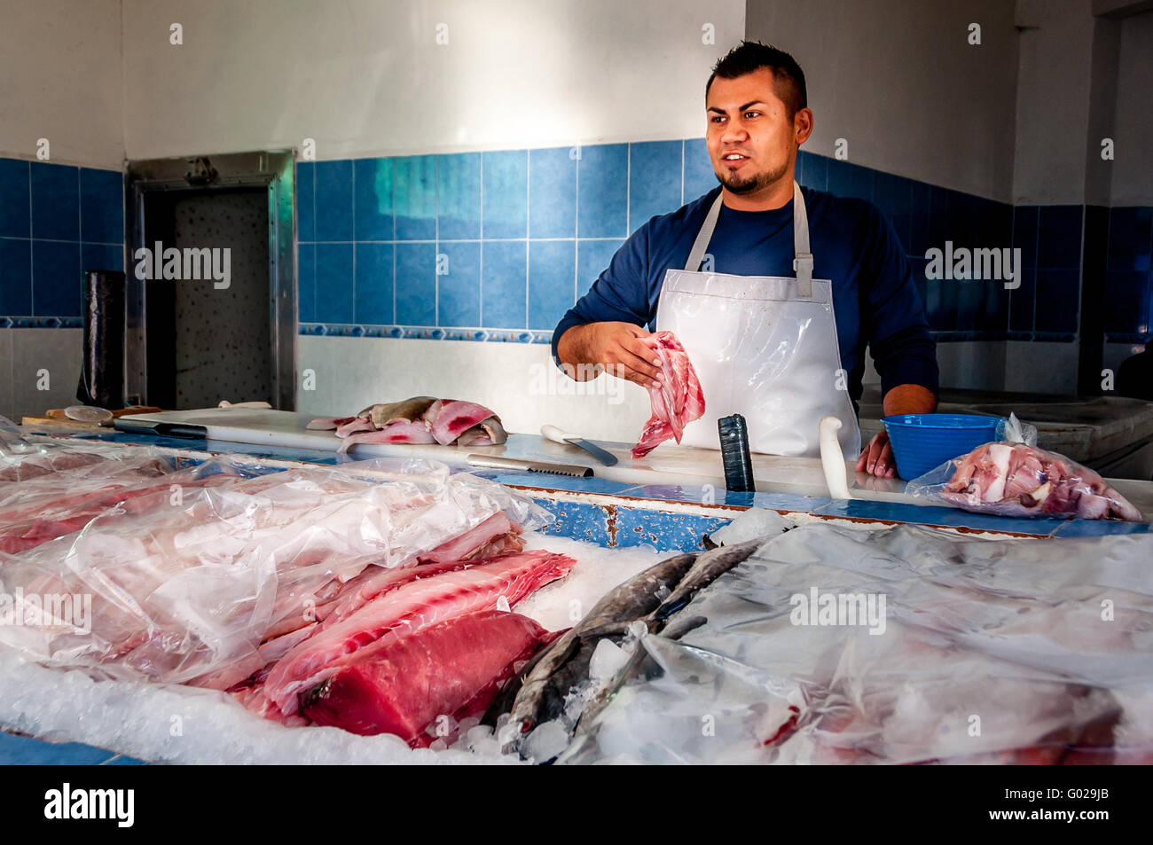 La Corbeteña Pescaderia, le marché aux poissons, dans la vieille ville de Puerto Vallarta, Zona Romantica, la vente du poisson frais sur la glace avec un poissonnier dans Viejo Vallarta Banque D'Images