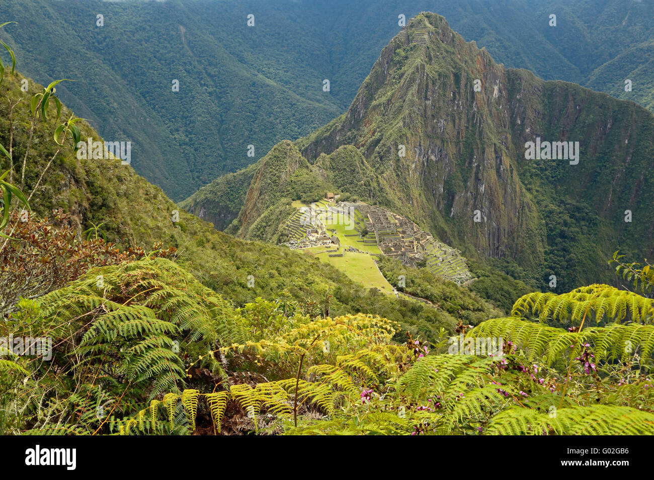 Les ruines Inca de Machu Picchu, près de Aguas Calientes, alias Machu Picchu Pueblo, Cusco, Pérou Banque D'Images