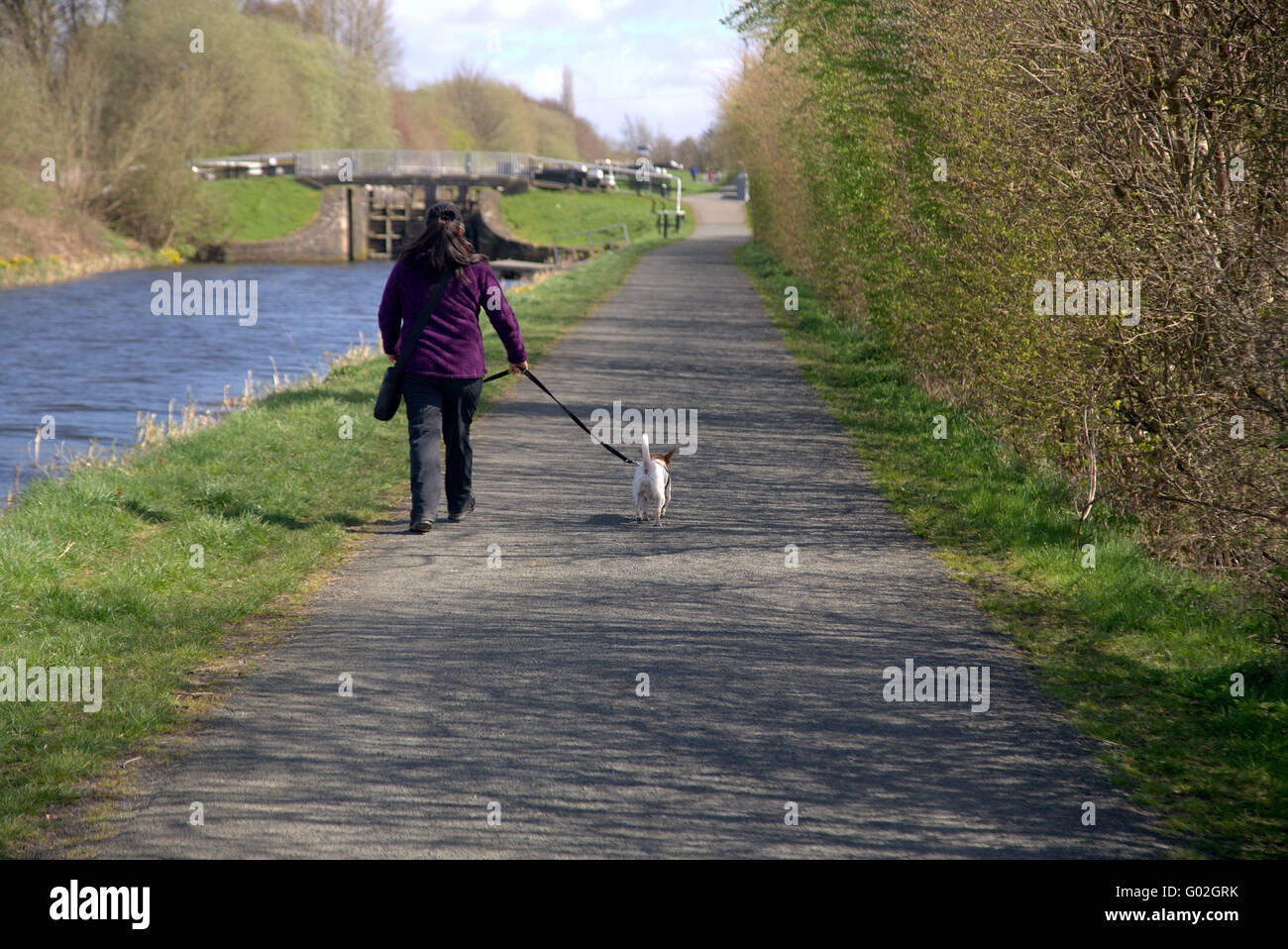 De l'avant et du canal de la Clyde près de Glasgow propriétaire avec dog walking Banque D'Images