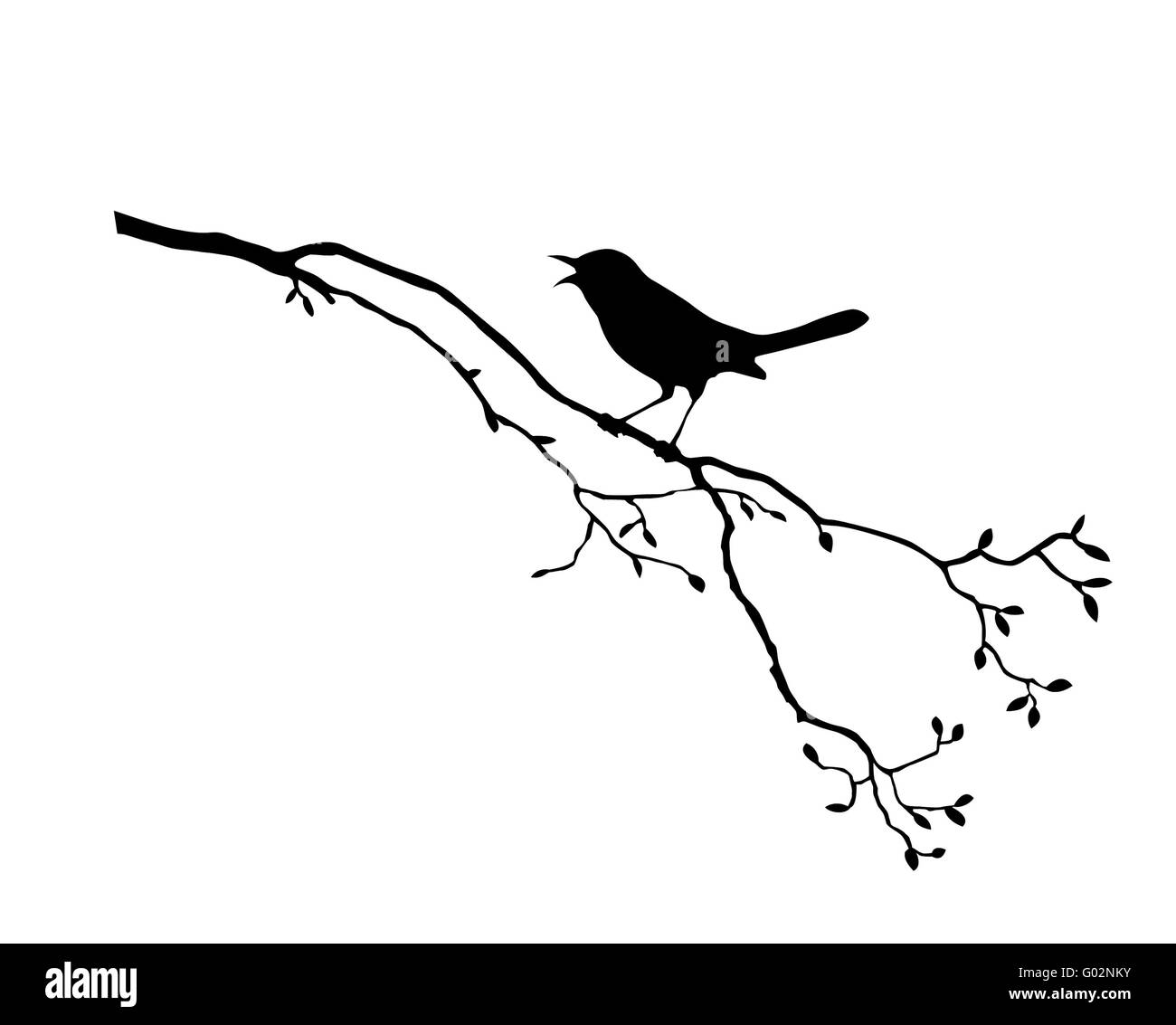 Vector silhouette de l'oiseau sur l'arbre de la direction générale Banque D'Images