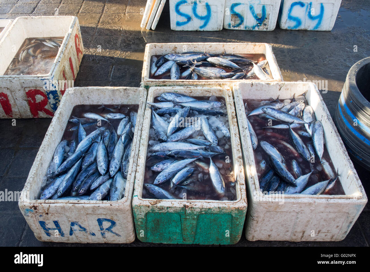 Les boîtes en polystyrène du poisson pour la vente au marché de fruits de mer de la Baie de Jimbaran. Banque D'Images