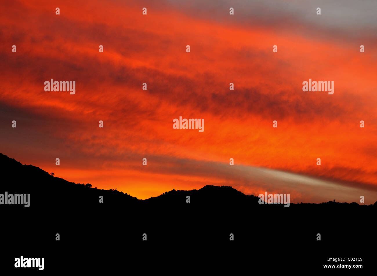 Spectaculaire coucher de soleil dans la Réserve Naturelle Goegap Banque D'Images