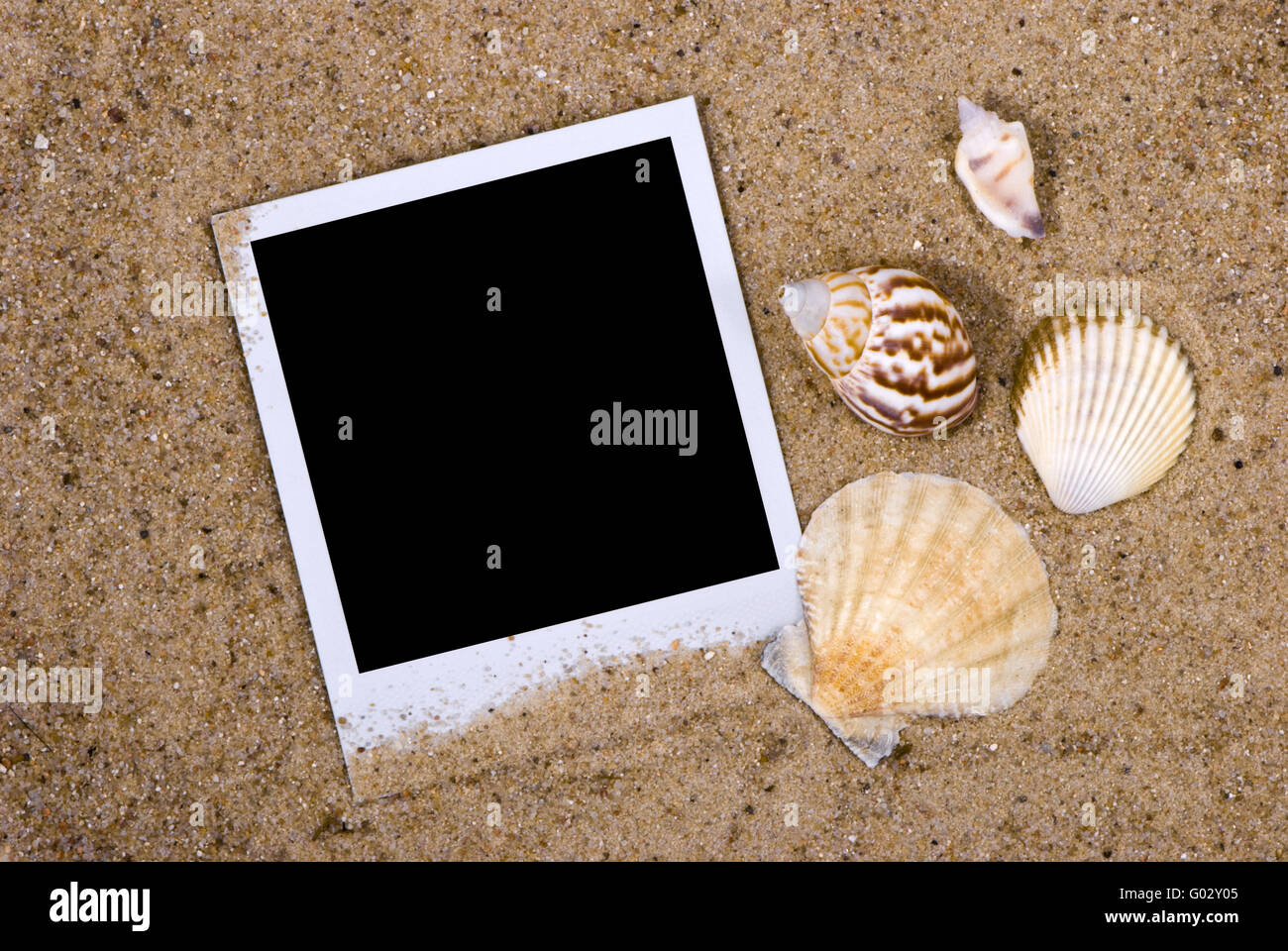 Cadre photo avec des coquillages sur fond de sable Banque D'Images