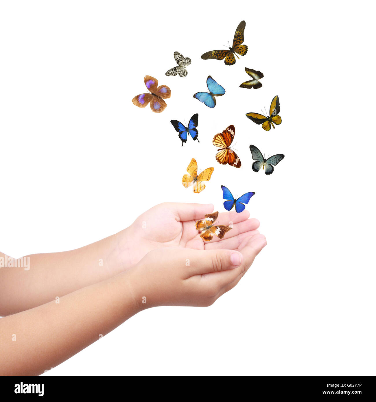 Petite main libérer les papillons ,les rêves Banque D'Images