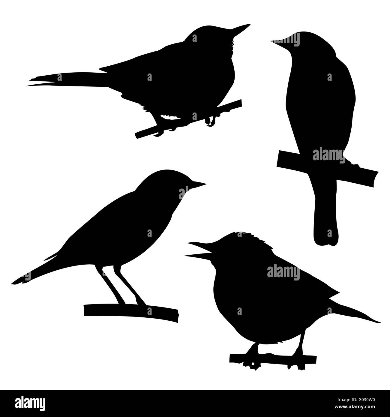 Vector silhouettes d'oiseaux assis sur l'arbre de la direction générale Banque D'Images
