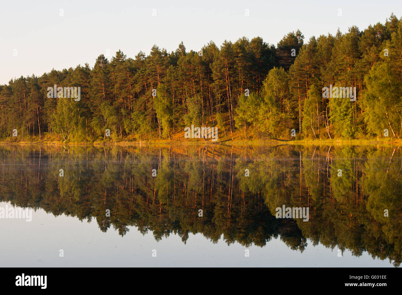Paysage d'été au lac et forêt avec réflexion miroir Banque D'Images