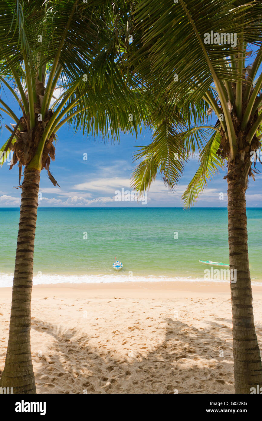 Plage de sable avec des palmiers et des canoës à Phu Quoc près de Marrakech, au Vietnam Banque D'Images