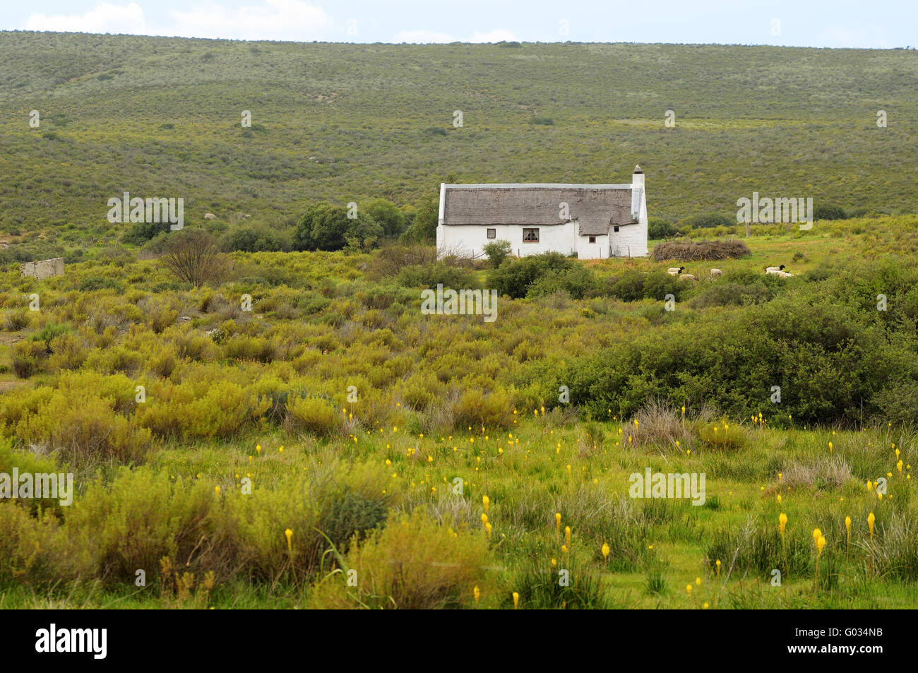 Maison de ferme sur le Plateau du Bokkeveld,Afrique du Sud Banque D'Images