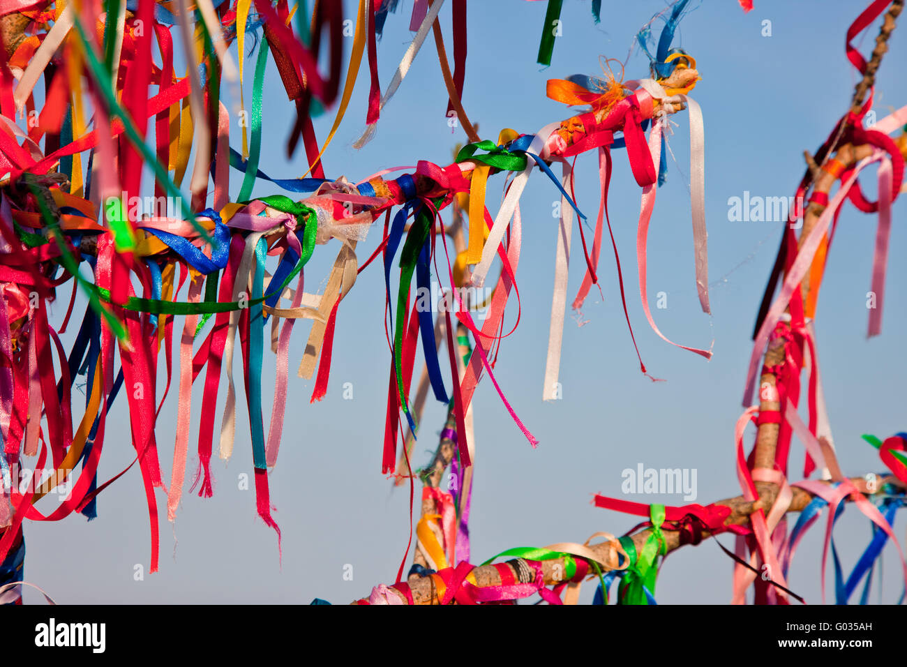 Tiens arbre branches attachées avec des rubans colorés Banque D'Images
