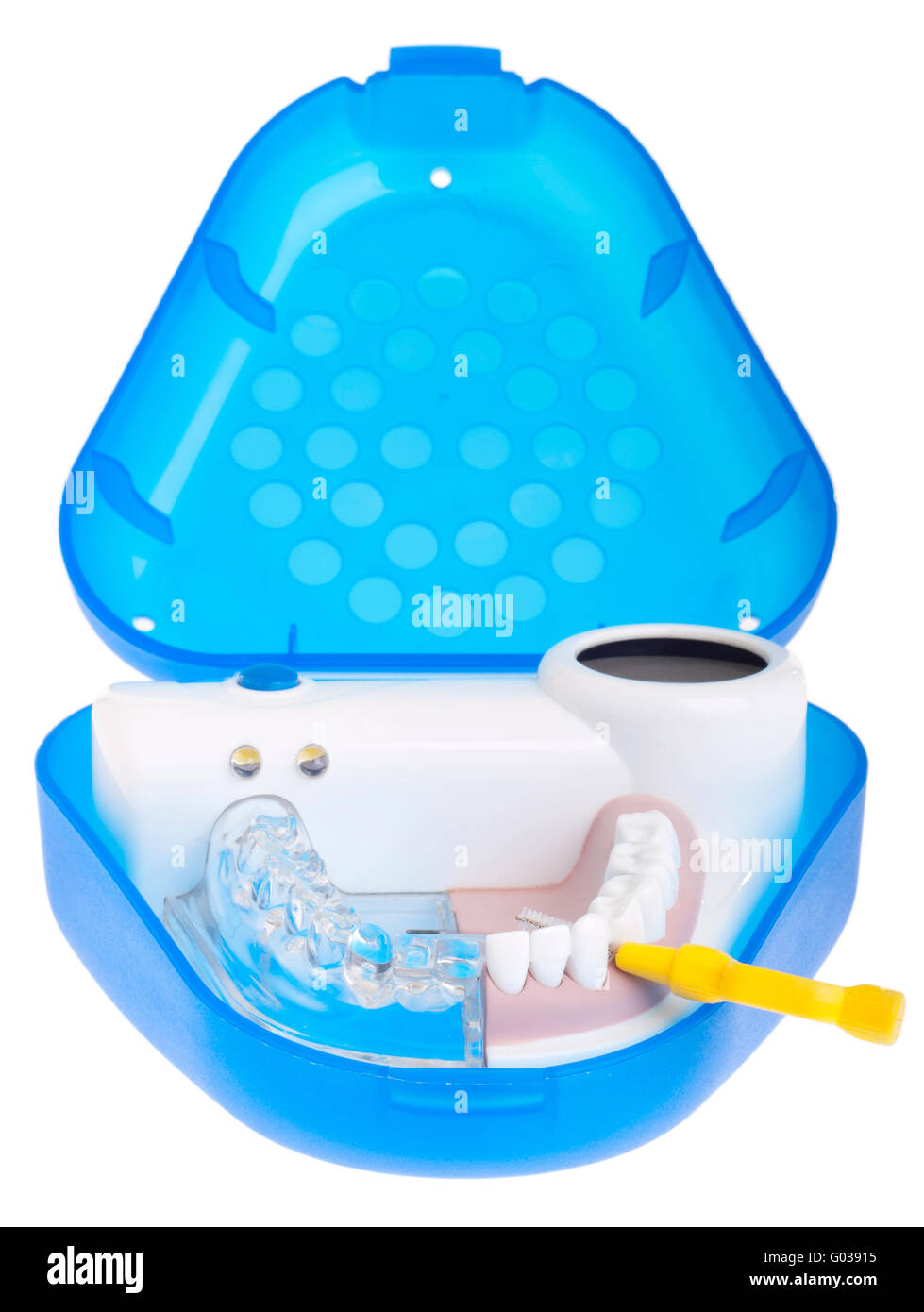 Modèle dentaire portable montrant comment utiliser la brosse (proximale intra isolé sur fond blanc) Banque D'Images