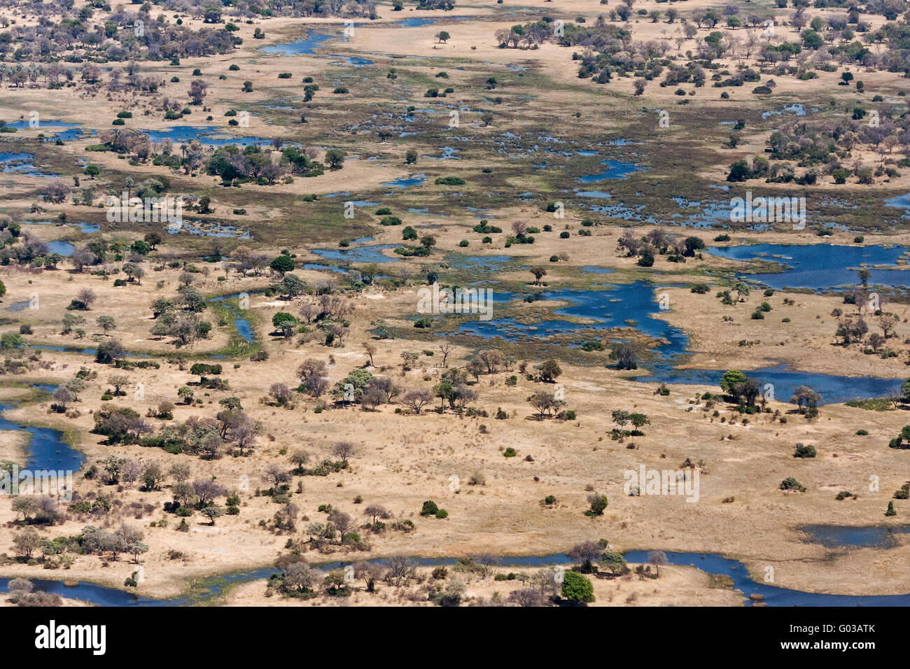 La photographie aérienne savanne Banque D'Images