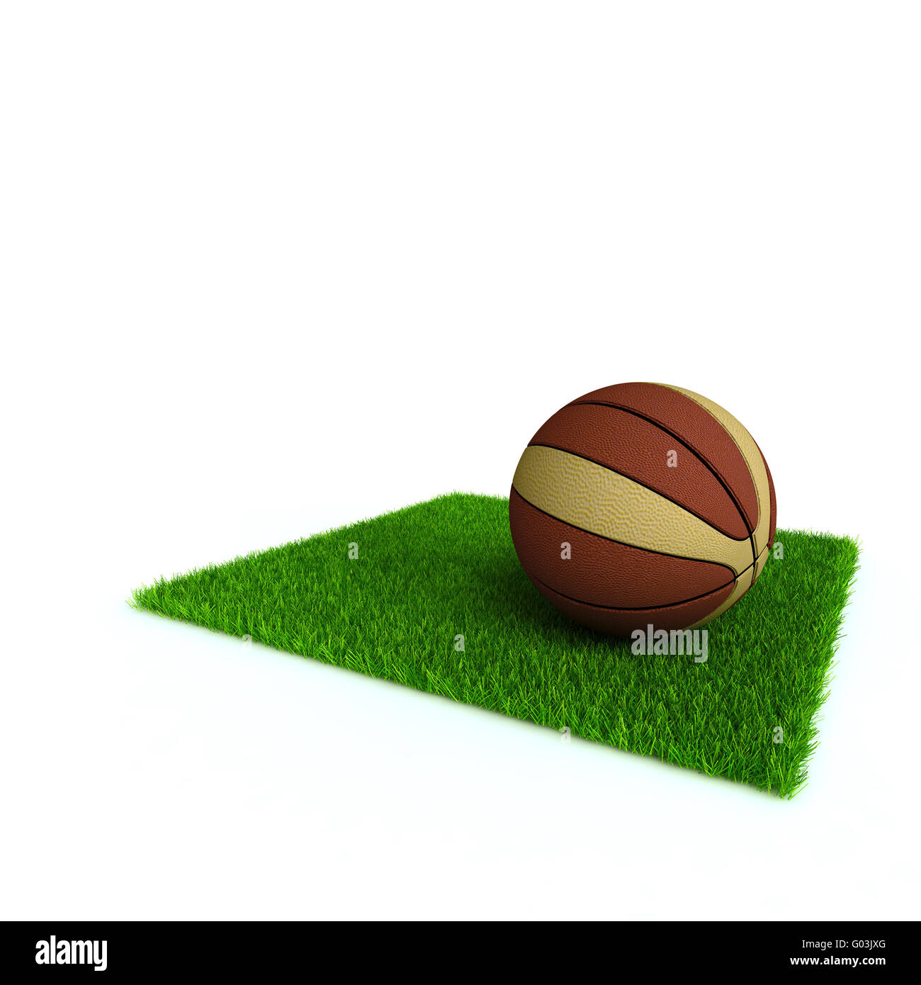 Basket-ball sur une pelouse d'un lumineux vert herbe Banque D'Images