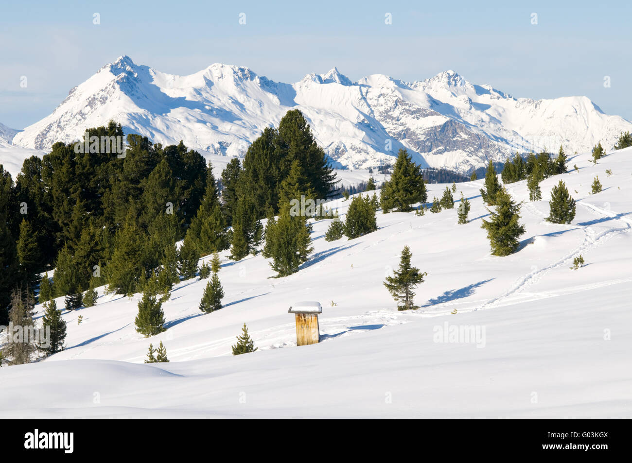 Hiver neige paysage avec arbres et montagnes Banque D'Images